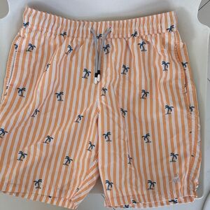 Supreme Vibrant Orange Striped Swim Trunks